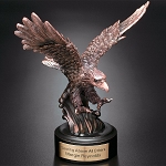 Landing Eagle 7